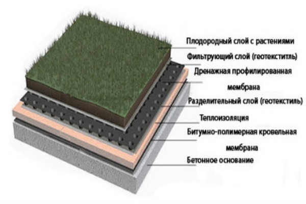 зеленая кровля