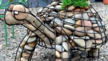 cherepaha_gabion