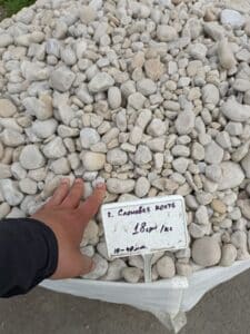 Галька серая красивая Слоновая кость отборная